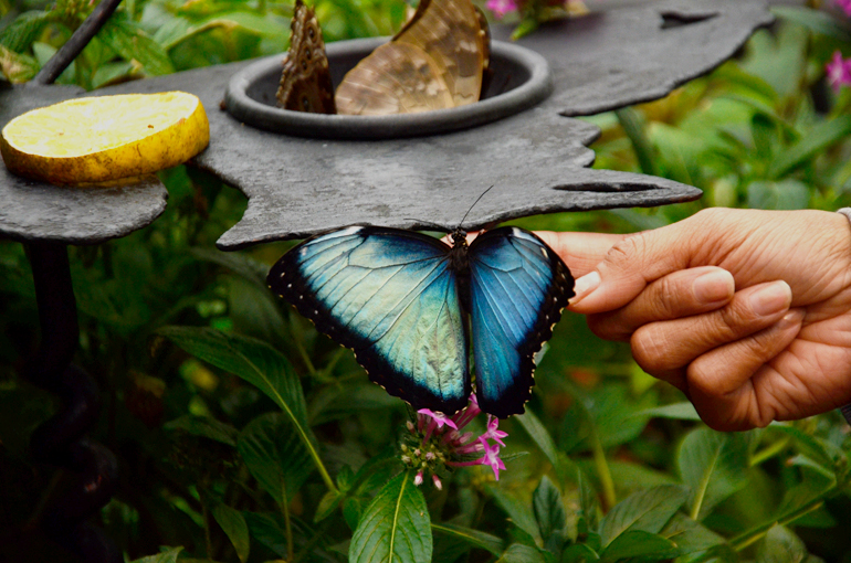 foto_7_gennaio_2016_dsc_9311