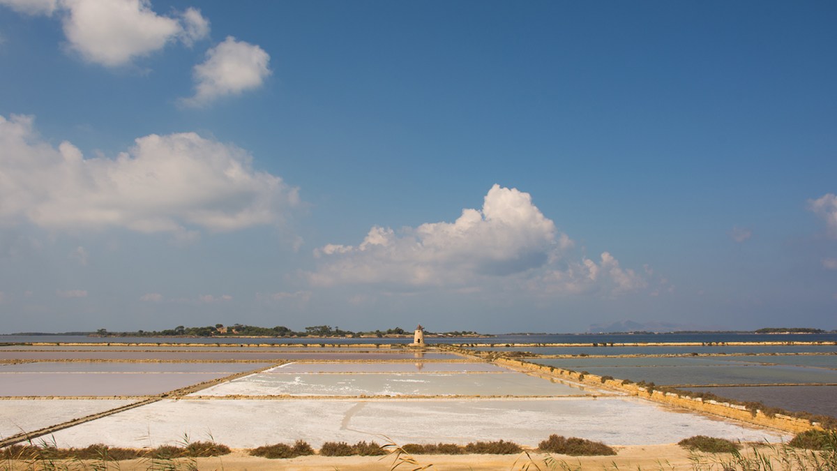 saline-marsala-1_71dpi