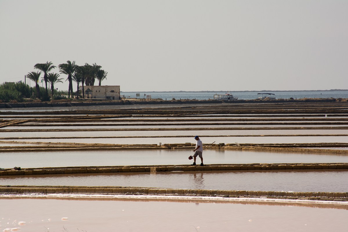 saline-marsala-3_-71-dpi