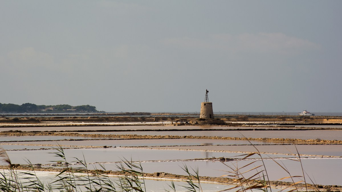 saline-marsala-4-_71-dpi