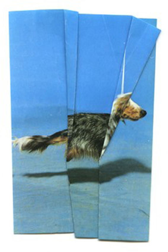 Ruth Van Beek Hibernator