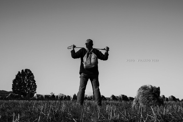 23102017-3Halal Business (1)