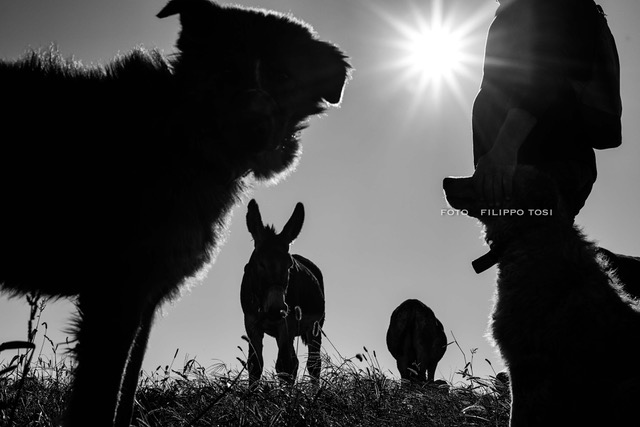 23102017-5Halal Business (2)