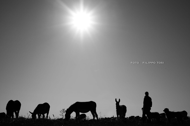 23102017-8Halal Business