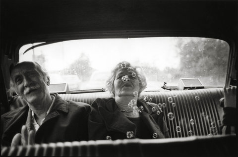 20150302-lens-sylvia-1-blog480[1]