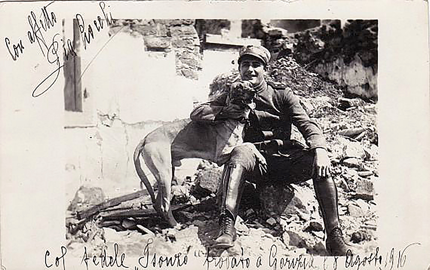 5 Cane Isonzo trovato a Gorizia 1916