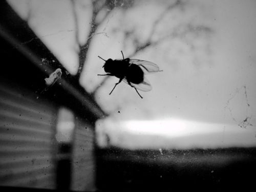 7bdebabbe464ce1f0836fe13097e5855--my-cousin-mississippi[1]