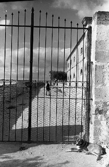 9 Sicilia F.Patellani 1952