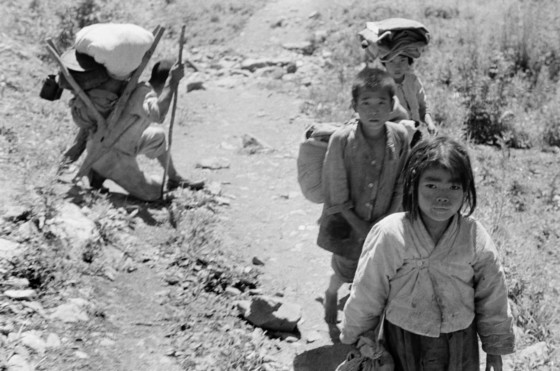 BIW1951002/W51170/20