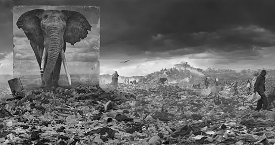 14 Nick Brandt Inherit the Dust