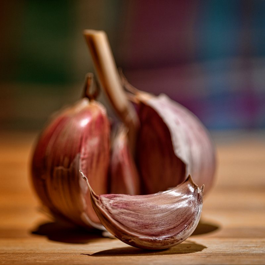 Federico Mammana- Sacrificio